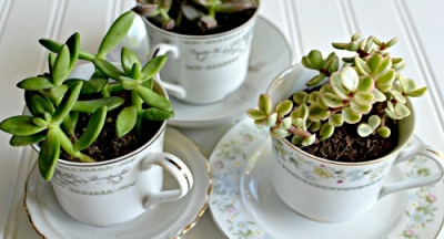 Biến những đồ gốm sứ cũ thành đồ trang trí đẹp mắt (J.T)