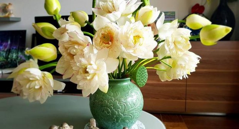 Cách lựa chọn bình gốm để cắm hoa (J.T)